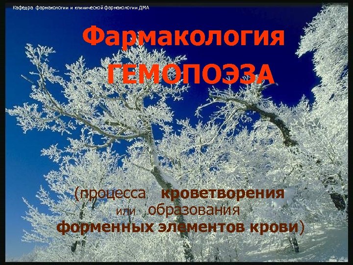 Кафедра фармакологии и клинической фармакологии ДМА Фармакология ГЕМОПОЭЗА (процесса кроветворения или образования форменных элементов