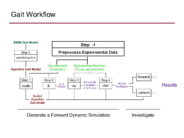 Gait Workflow Step -1 Preprocess Experimental Data 