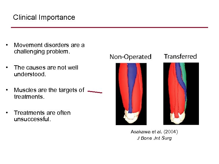 Clinical Importance • Movement disorders are a challenging problem. • The causes are not