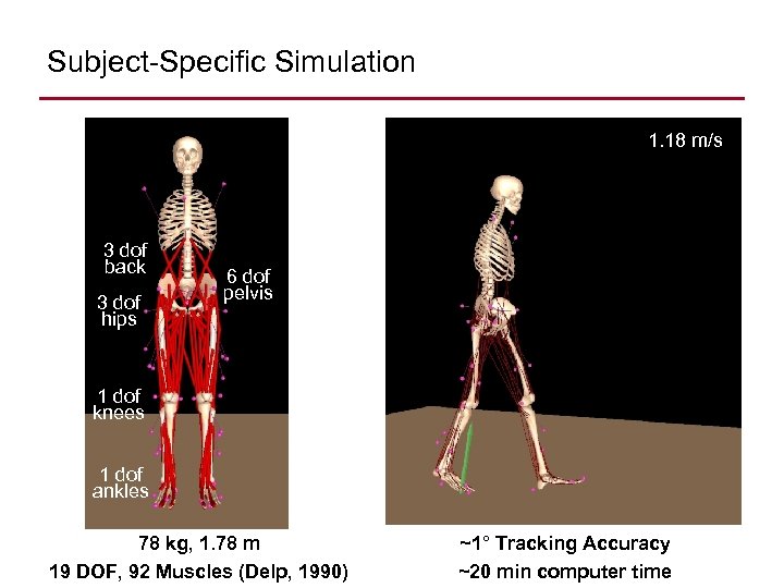 Subject-Specific Simulation 1. 18 m/s 3 dof back 3 dof hips 6 dof pelvis