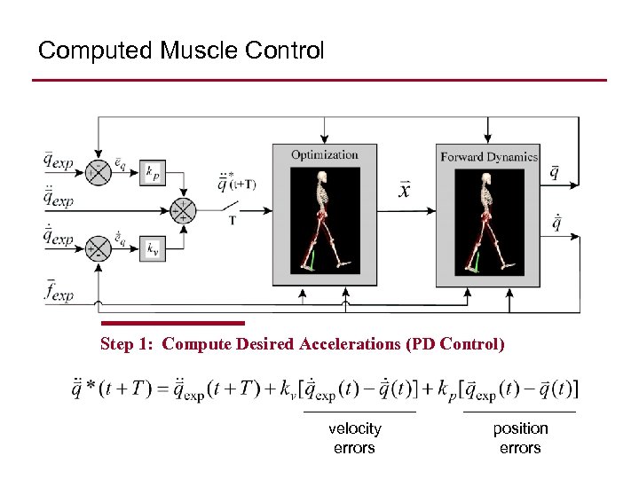 Computed Muscle Control Step 1: Compute Desired Accelerations (PD Control) velocity errors position errors