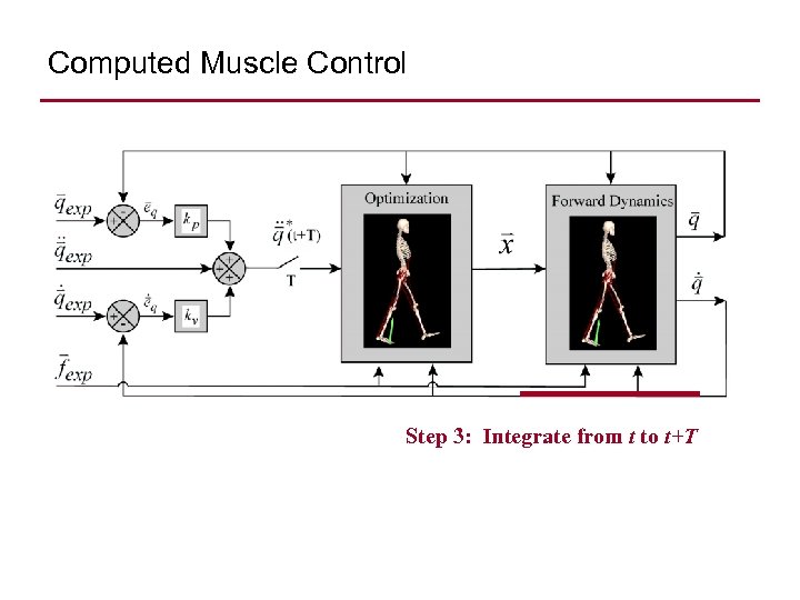 Computed Muscle Control Step 3: Integrate from t to t+T 