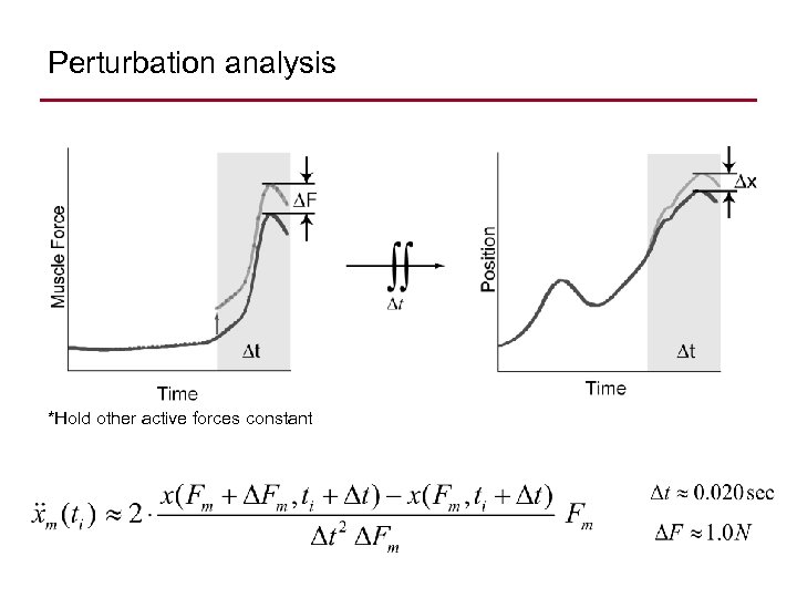 Perturbation analysis *Hold other active forces constant 