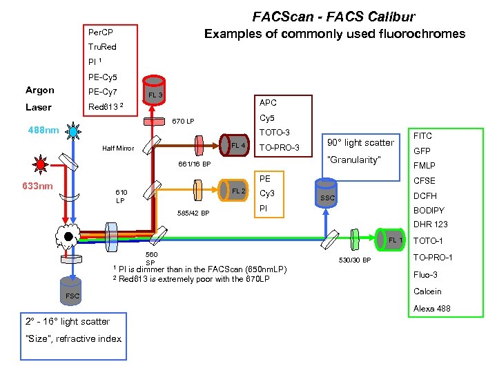 FACScan - FACS Calibur Examples of commonly used fluorochromes Per. CP Tru. Red PI