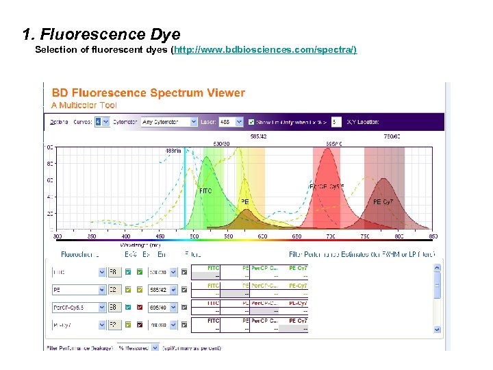 1. Fluorescence Dye Selection of fluorescent dyes (http: //www. bdbiosciences. com/spectra/) 