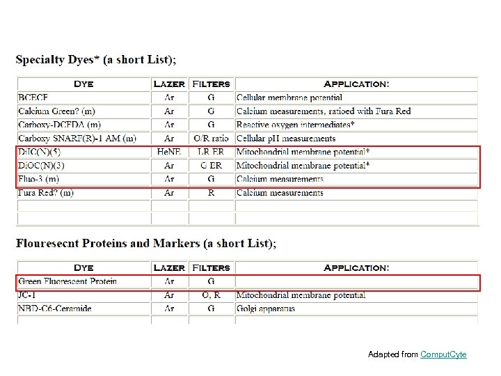 Adapted from Comput. Cyte 