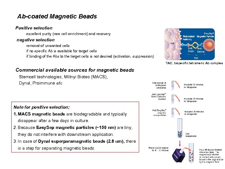 Ab-coated Magnetic Beads Positive selection excellent purity (rare cell enrichment) and recovery negative selection