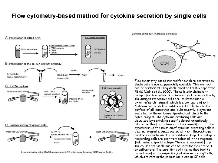 Flow cytometry-based method for cytokine secretion by single cells is now commercially available. This