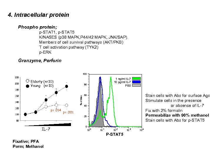 4. Intracellular protein Phospho protein; p-STAT 1, p-STAT 5 KINASES (p 38 MAPK, P