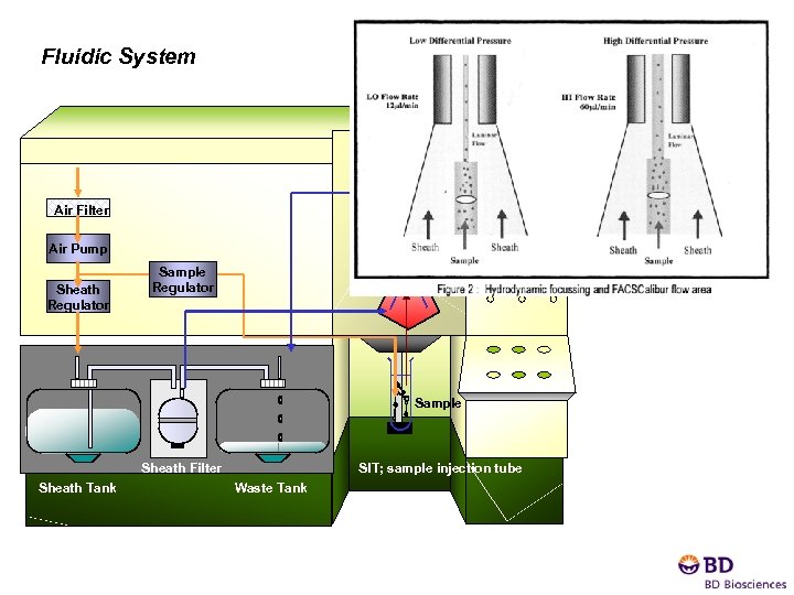 Fluidic System Air Filter Air Pump Sheath Regulator Flow Cell Sample Regulator Sample Sheath