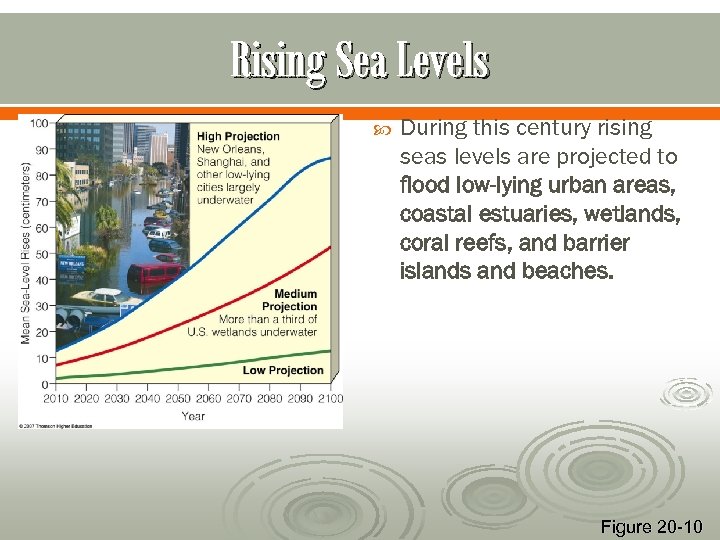 Rising Sea Levels During this century rising seas levels are projected to flood low-lying