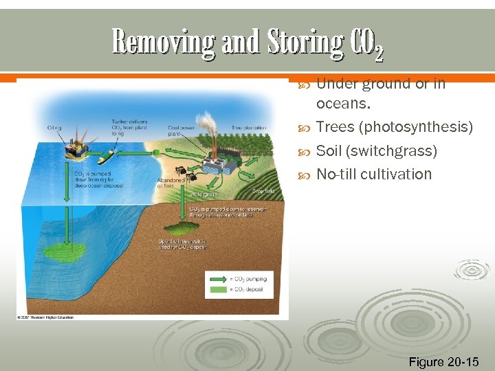 Removing and Storing CO 2 Under ground or in oceans. Trees (photosynthesis) Soil (switchgrass)