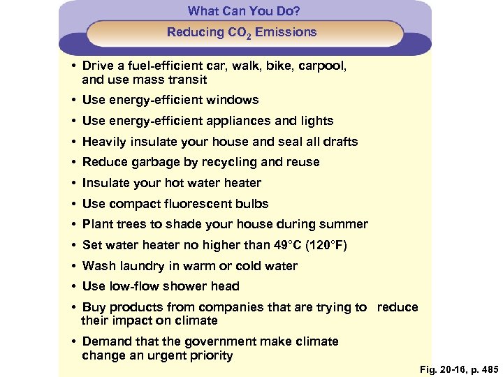 What Can You Do? Reducing CO 2 Emissions • Drive a fuel-efficient car, walk,