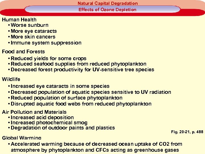 Natural Capital Degradation Effects of Ozone Depletion Human Health • Worse sunburn • More