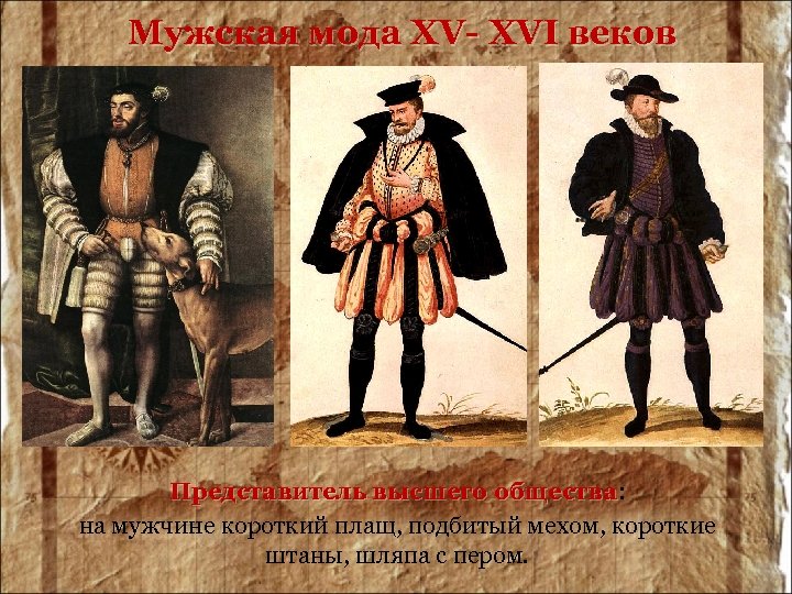 Мужская мода XV- XVI веков Представитель высшего общества: общества на мужчине короткий плащ, подбитый