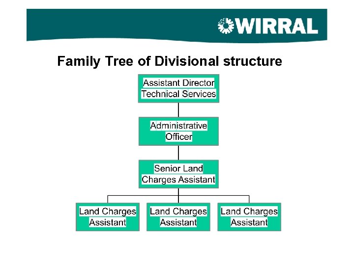 Family Tree of Divisional structure 