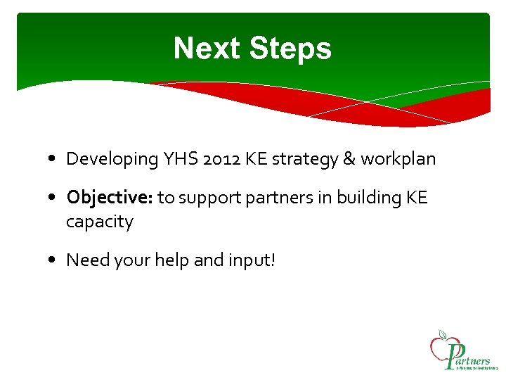 Next Steps • Developing YHS 2012 KE strategy & workplan • Objective: to support