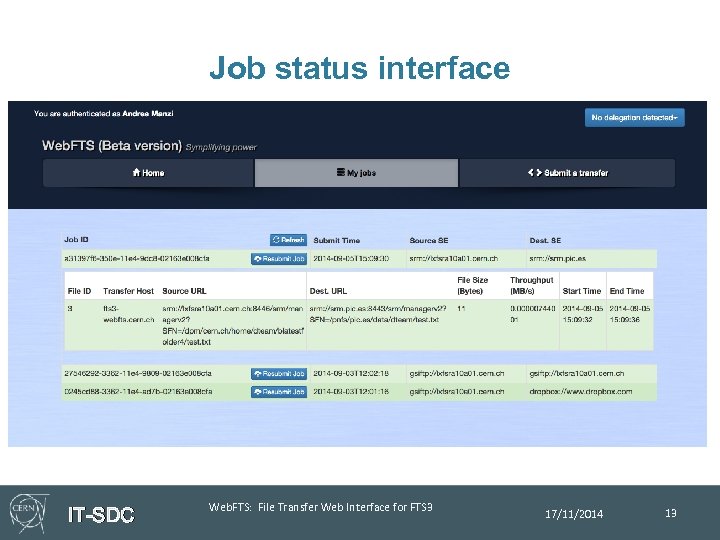 Job status interface IT-SDC Web. FTS: File Transfer Web Interface for FTS 3 17/11/2014