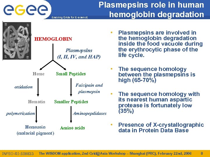 Enabling Grids for E-scienc. E Plasmepsins role in human hemoglobin degradation HEMOGLOBIN Plasmepsins (I,