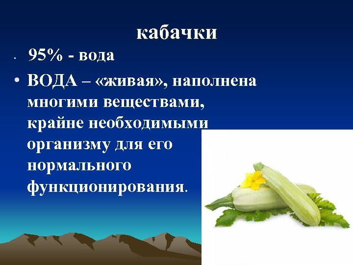 кабачки 95% - вода • ВОДА – «живая» , наполнена многими веществами, крайне необходимыми