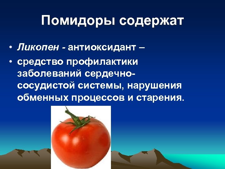 Помидоры содержат • Ликопен - антиоксидант – • средство профилактики заболеваний сердечнососудистой системы, нарушения