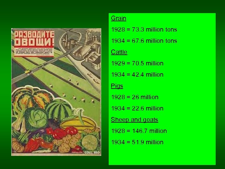 Grain 1928 = 73. 3 million tons 1934 = 67. 6 million tons Cattle
