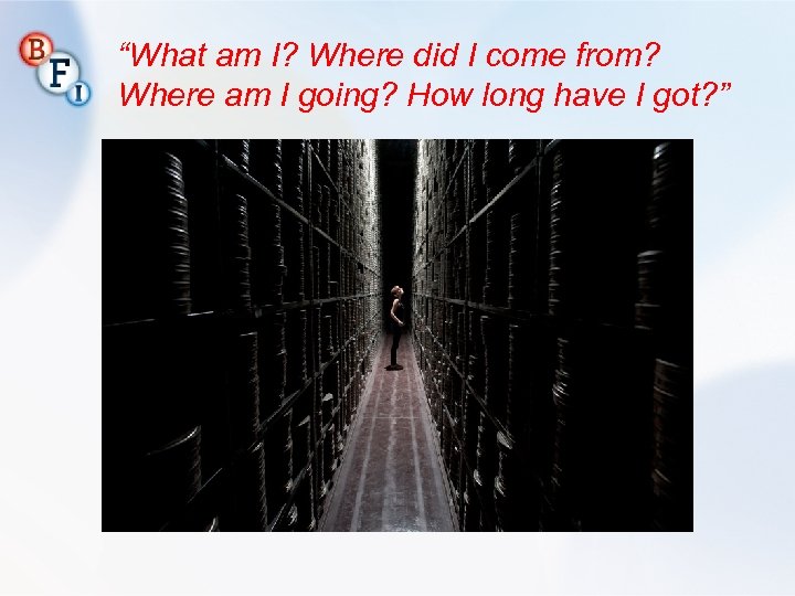 “What am I? Where did I come from? Where am I going? How long