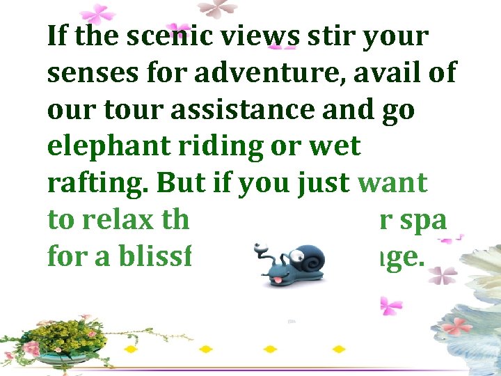 If the scenic views stir your senses for adventure, avail of our tour assistance