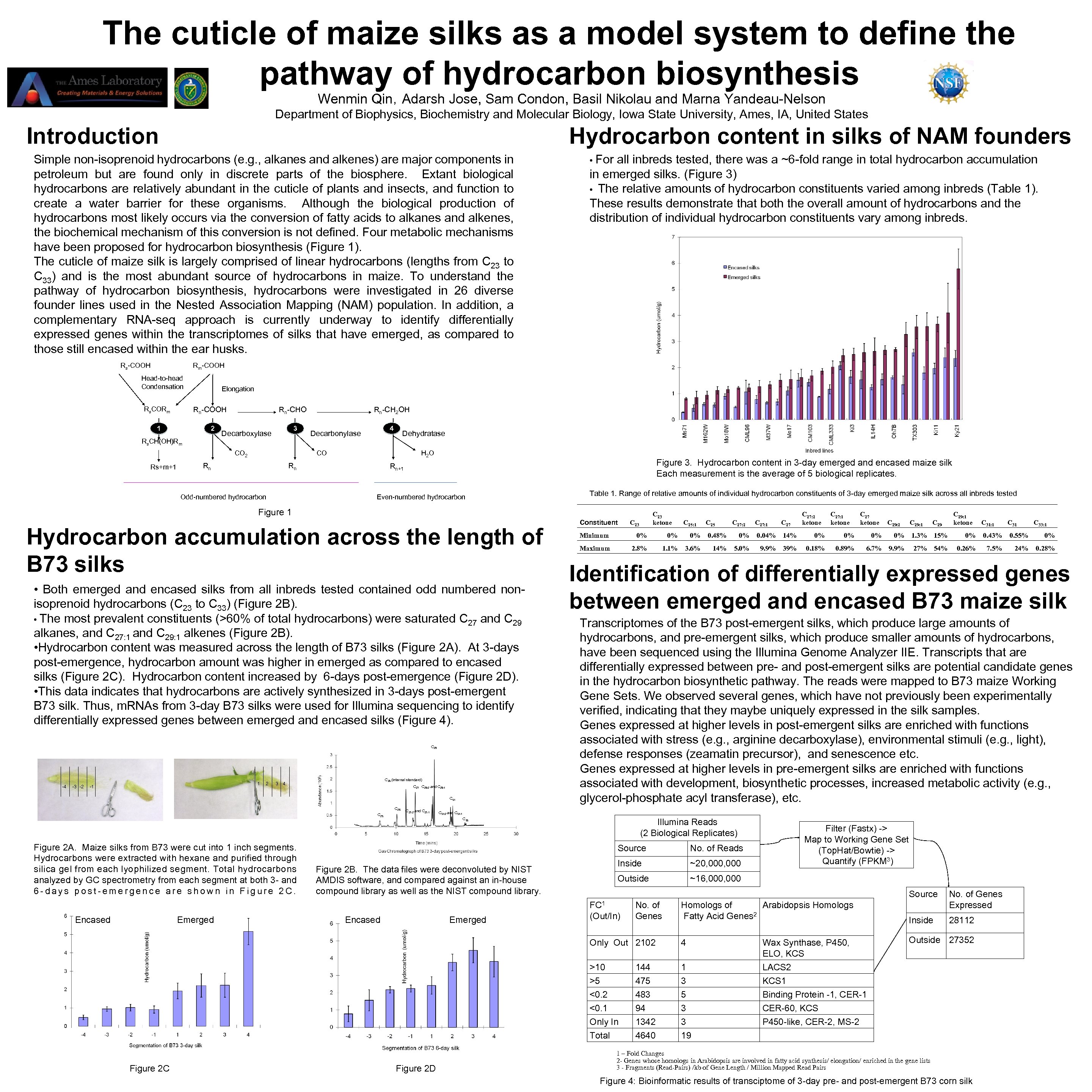 The cuticle of maize silks as a model system to define the pathway of