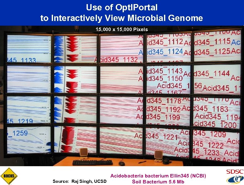 Use of Opt. IPortal to Interactively View Microbial Genome 15, 000 x 15, 000