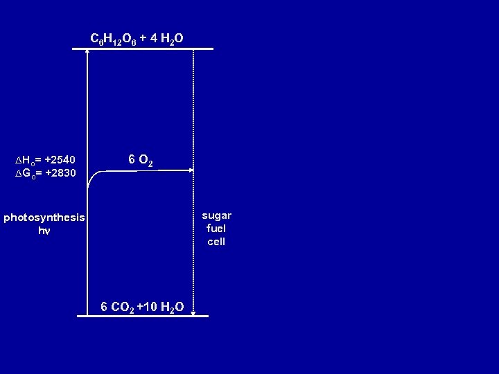 C 6 H 12 O 6 + 4 H 2 O ∆Ho= +2540 ∆Go=