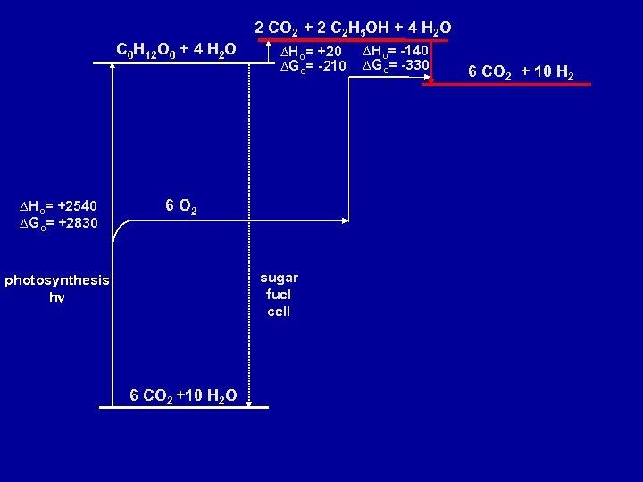2 CO 2 + 2 C 2 H 5 OH + 4 H 2