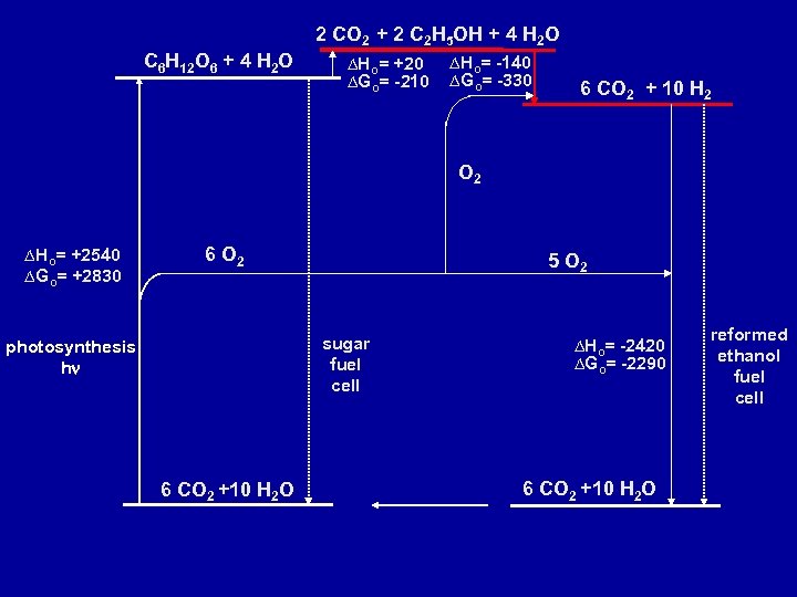 2 CO 2 + 2 C 2 H 5 OH + 4 H 2