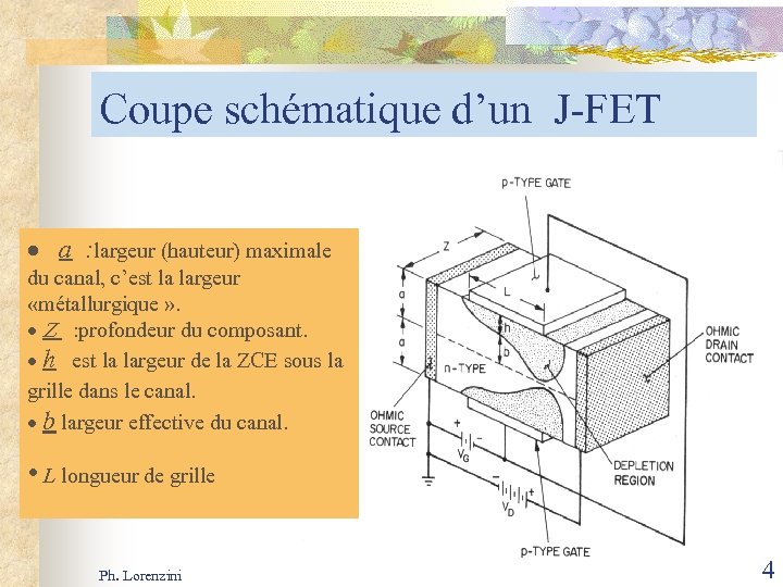 Coupe schématique d’un J-FET · a : largeur (hauteur) maximale du canal, c’est la