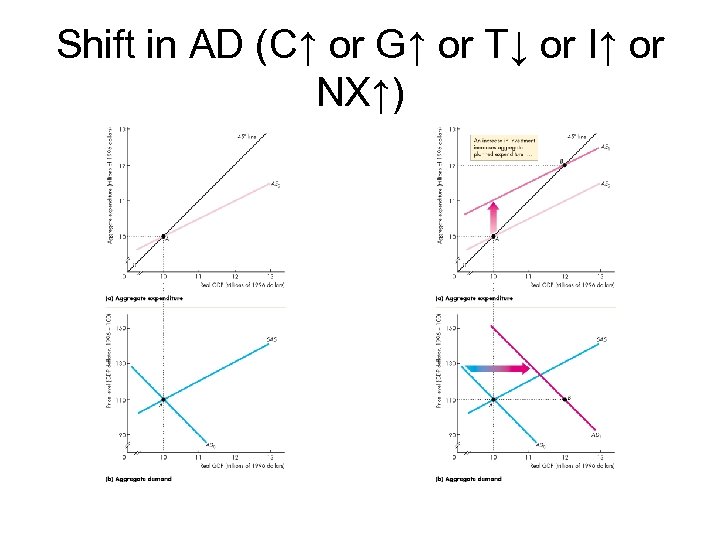 Shift in AD (C↑ or G↑ or T↓ or I↑ or NX↑) 