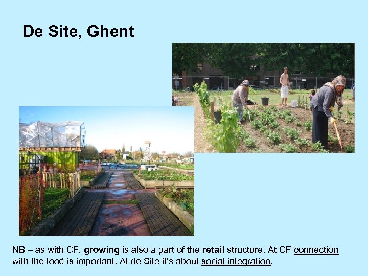 De Site, Ghent NB – as with CF, growing is also a part of
