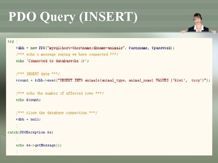 PDO Query (INSERT) 