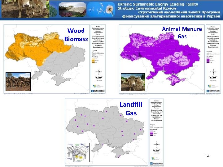 Animal Manure Gas Wood Biomass Landfill Gas 14 
