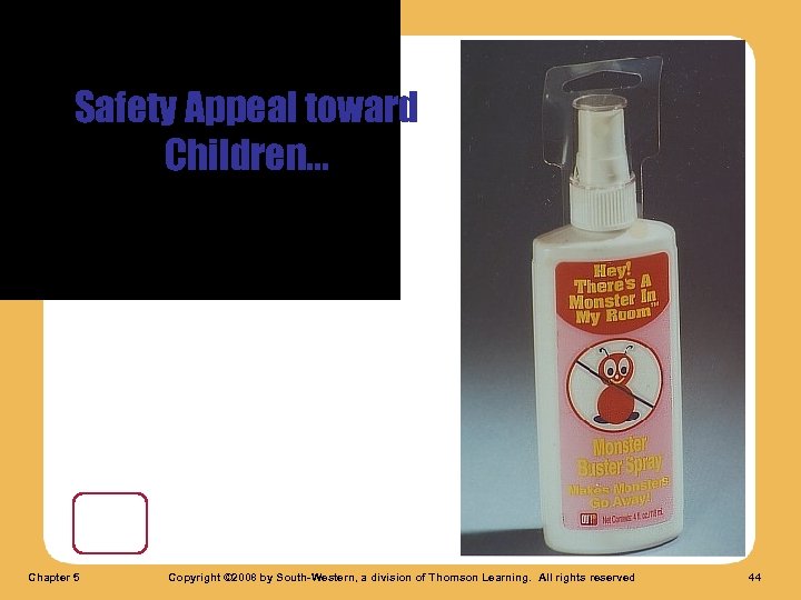 Safety Appeal toward Children. . . Chapter 5 Copyright © 2008 by South-Western, a