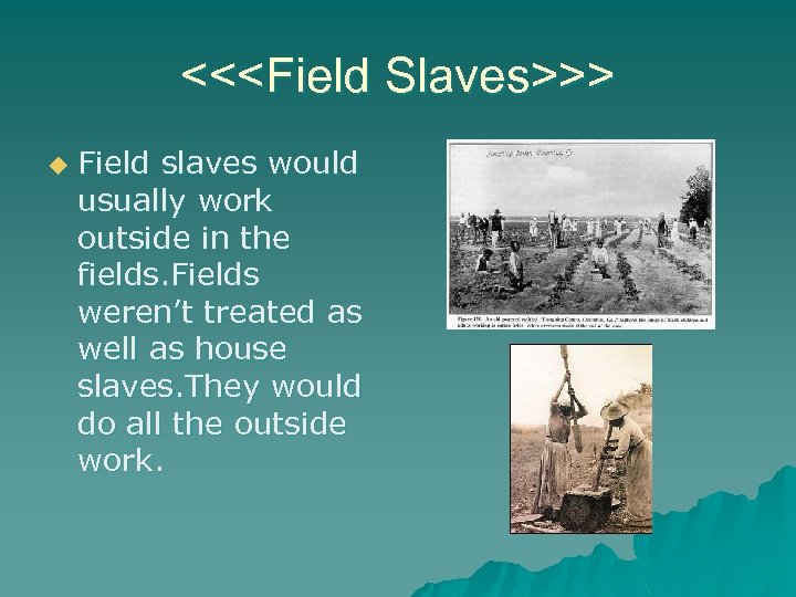 <<<Field Slaves>>> u Field slaves would usually work outside in the fields. Fields weren’t