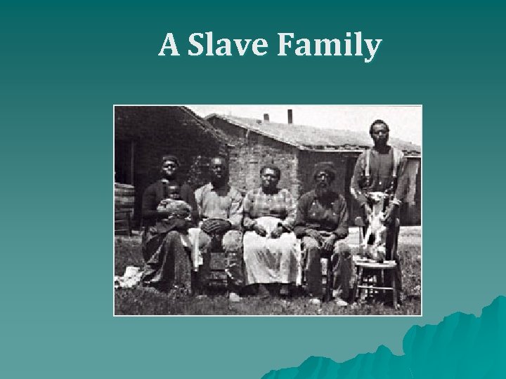 A Slave Family 