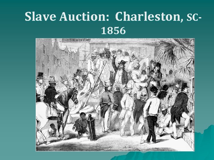 Slave Auction: Charleston, SC 1856 
