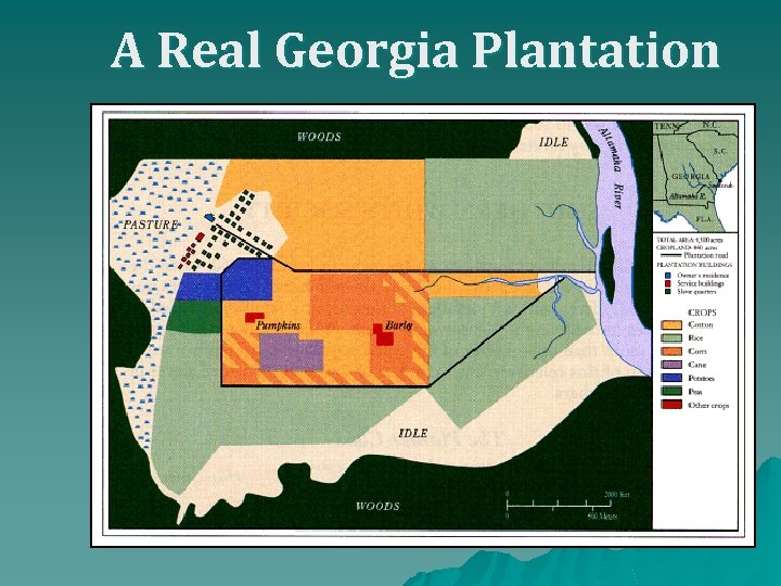 A Real Georgia Plantation 