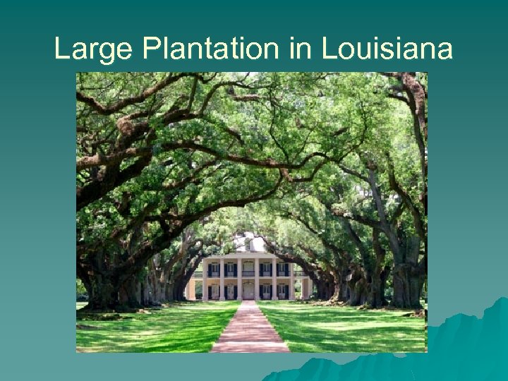 Large Plantation in Louisiana 