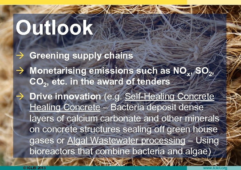 Outlook à Greening supply chains à Monetarising emissions such as NOx, SO 2, CO