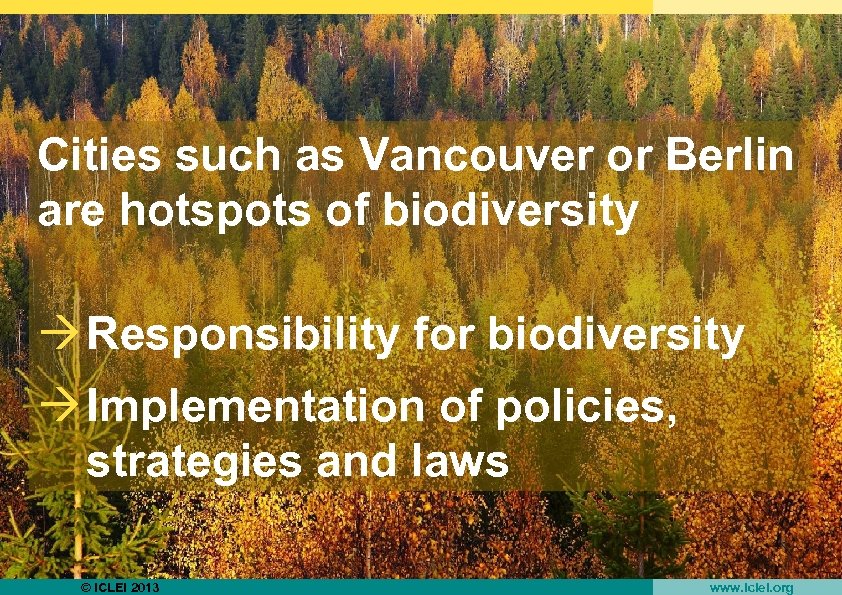 Cities such as Vancouver or Berlin are hotspots of biodiversity à Responsibility for biodiversity