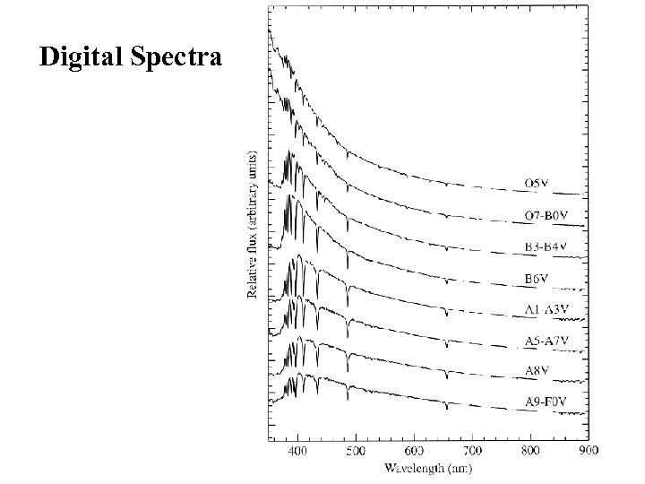 Digital Spectra 