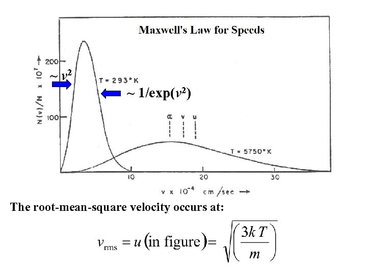 ~ v 2 ~ 1/exp(v 2) The root-mean-square velocity occurs at: 
