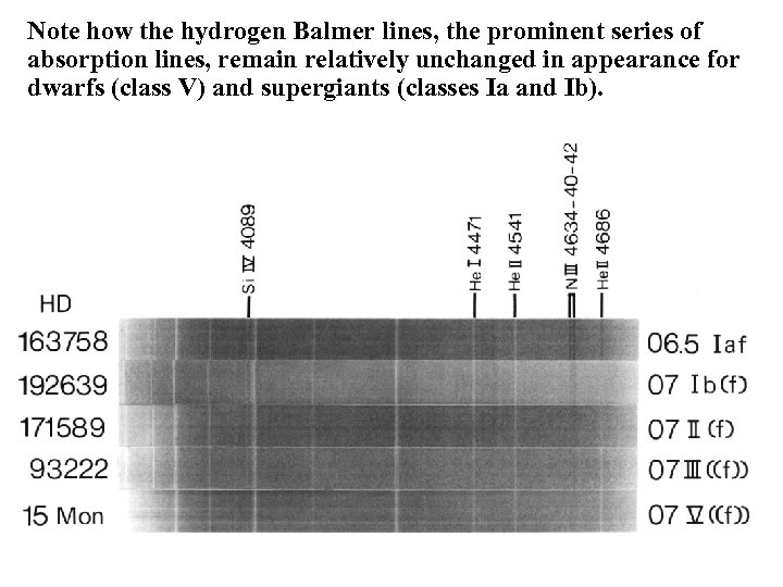 Note how the hydrogen Balmer lines, the prominent series of absorption lines, remain relatively