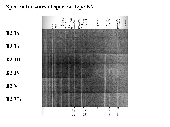 Spectra for stars of spectral type B 2 Ia B 2 Ib B 2